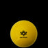 Gryphon Initiation Smooth Hockey Ball